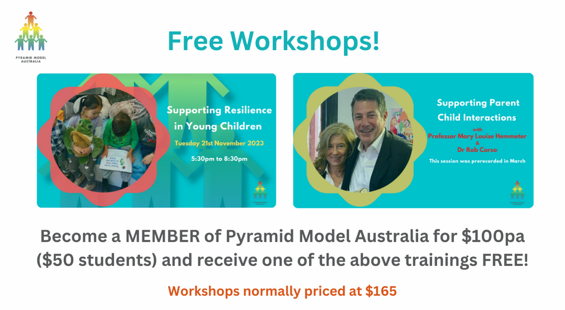 Free Training With Annual Membership Pyramid Model Australia Free Training With Annual Membership Pyramid Model Australia